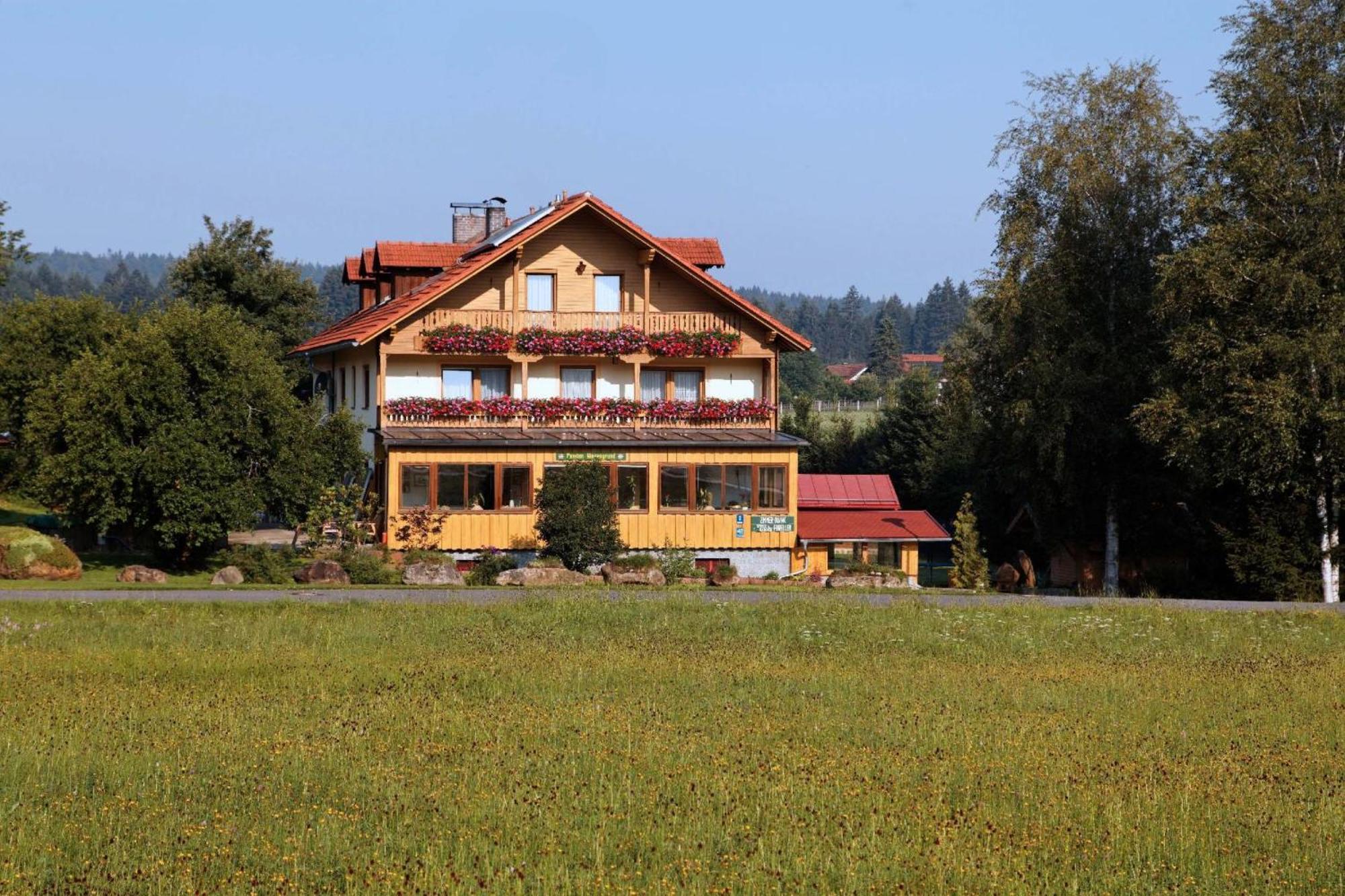 Pension Wiesengrund Neuschonau Bagian luar foto