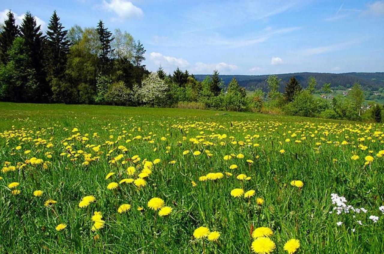 Pension Wiesengrund Neuschonau Bagian luar foto