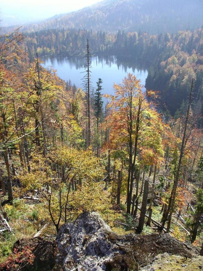 Pension Wiesengrund Neuschonau Bagian luar foto